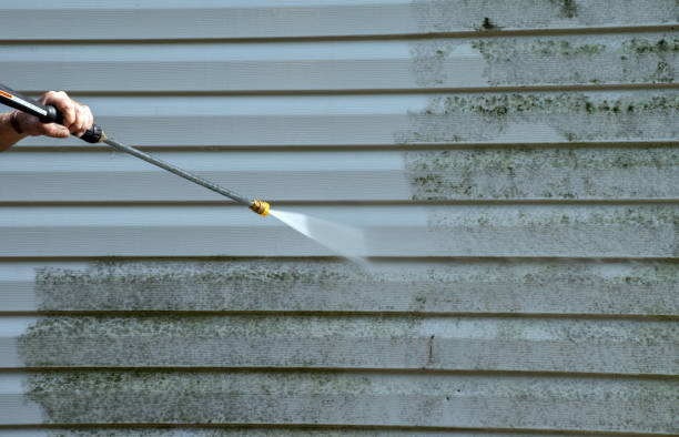 Best Animal Enclosure Cleaning  in Payne, OH